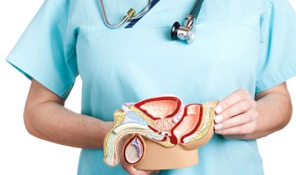 باحثون أمريكيون يكتشفون سبب التطور السريع لسرطان البروستاتا