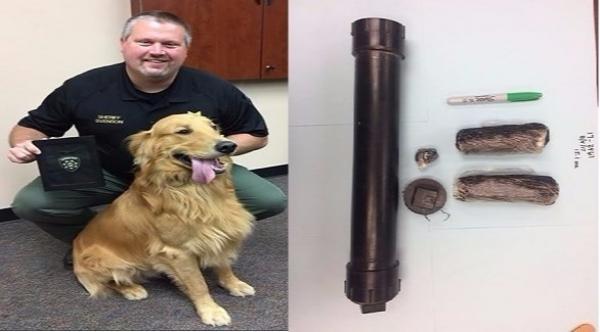 كلب يعثر على مخدرات بمنزل صاحبه.. والشرطة تكرمه