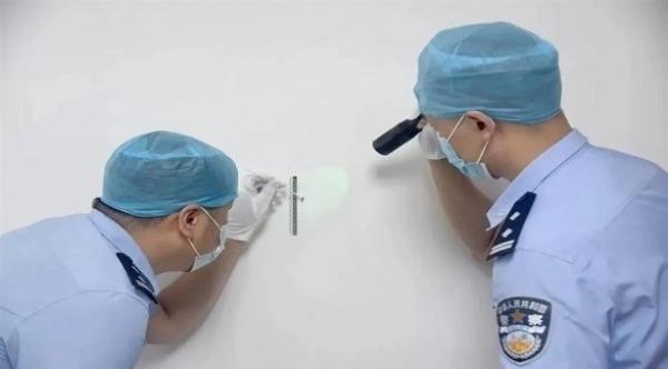 سحق بعوضة في مسرح الجريمة يساعد على القبض على السارق