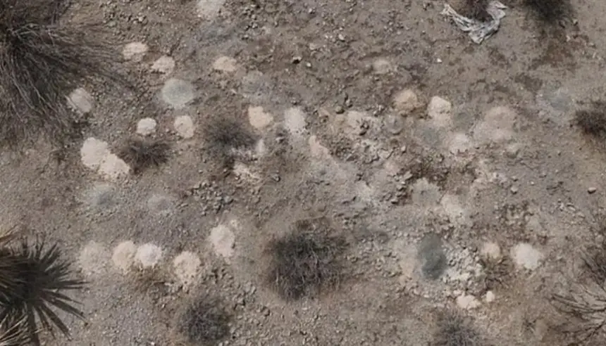 العثور على مئات الرفات البشرية المجهولة في صحراء نيفادا يهزّ الرأي العام الأمريكي