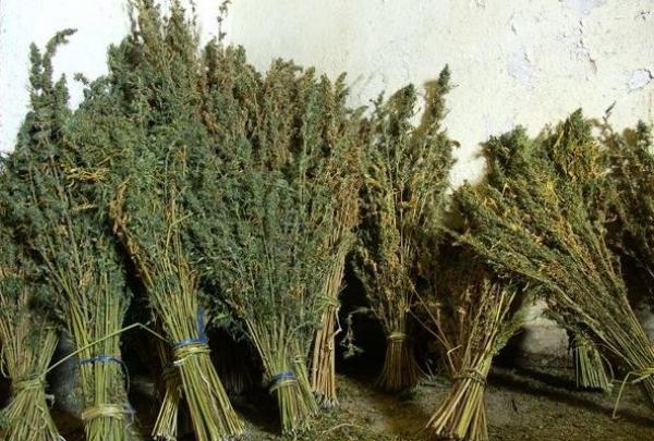 اعتقال مبحوث عنه بتجارة المخدرات بالرحامنة