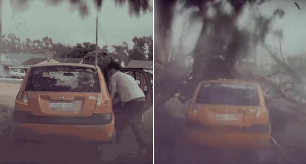سائق ينجو بأعجوبة بعد  سقوط أجزاء من شجرة على سيارته(فيديو)