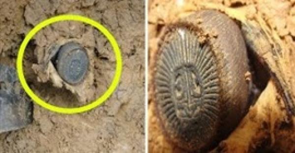 بالفيديو.. عقرب سام يجب عدم لمسه لأنه يقتل الإنسان خلال 3 ثوان