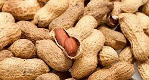 انتبهوا لأطفالكم.. حبة "كاوكاو" كادت تقتل رضيعا بتطوان