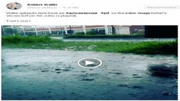 جوجل بلس تدعم ميزة الصور المتحركة لعرض مقاطع اليوتيوب قبل تشغيلها