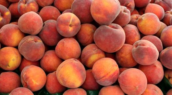 أطعمة وتوابل تحمي من السرطان وتقاومه