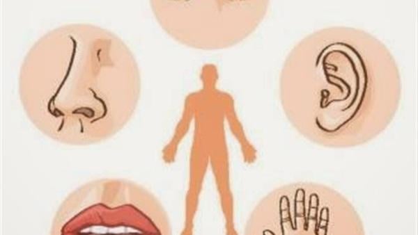 هل تعلم كم عدد حواس الانسان الحقيقية؟