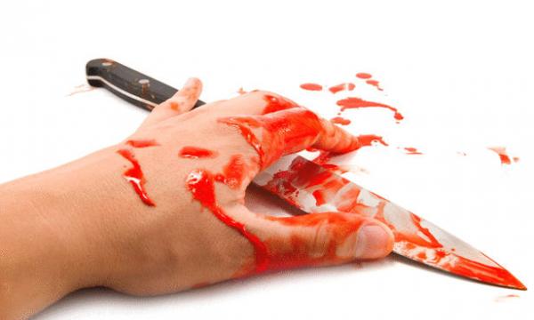 وزير الداخلية: انخفاض عدد جرائم القتل خلال الستة أشهر الأولى من سنة 2013 ب 3 في المائة