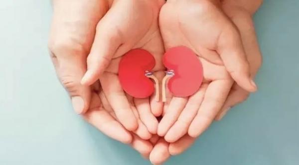 عادات يومية يمكن أن تضر بالكليتين ...تجنبها