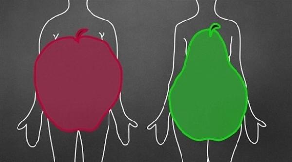 كيف يؤثر شكل الجسم على صحة الدماغ؟