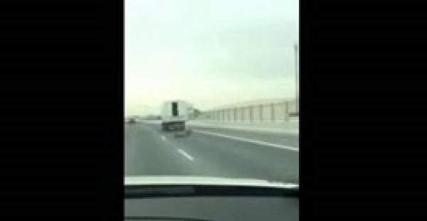 بالفيديو.. لحظة سقوط نمر وهروبه من سيارة تنقله في قطر