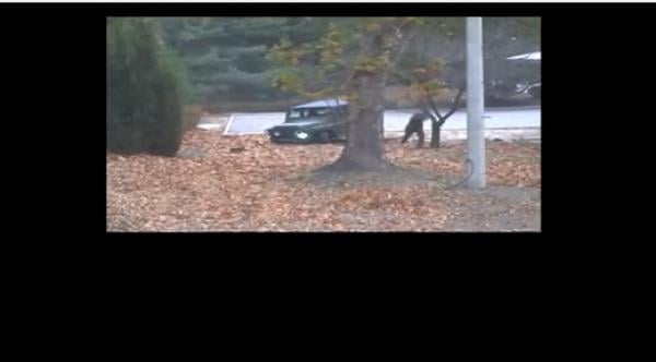 فيديو مؤلم..جندي كوري شمالي يحاول الفرار نحو كوريا الجنوبية وسط سيل من الرصاصات، وهذا هو مصيره