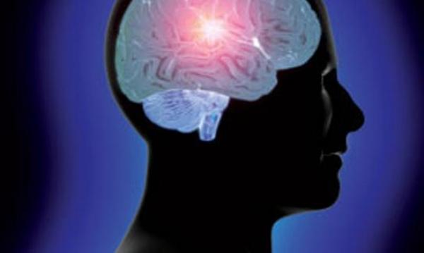 دراسة: مخ الرجال يختلف في تركيبته العصبية عن النساء