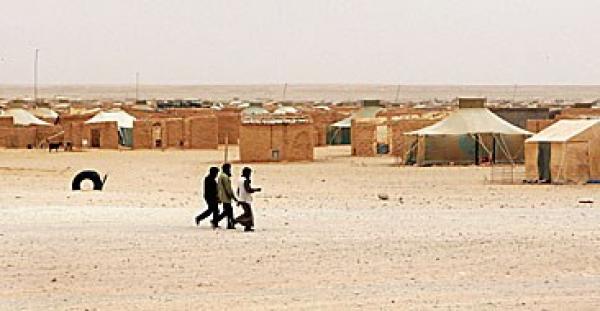 الإذاعة السويدية : ليس هناك اعتراف بـ"البوليساريو" لا اليوم و لا على المدى الطويل