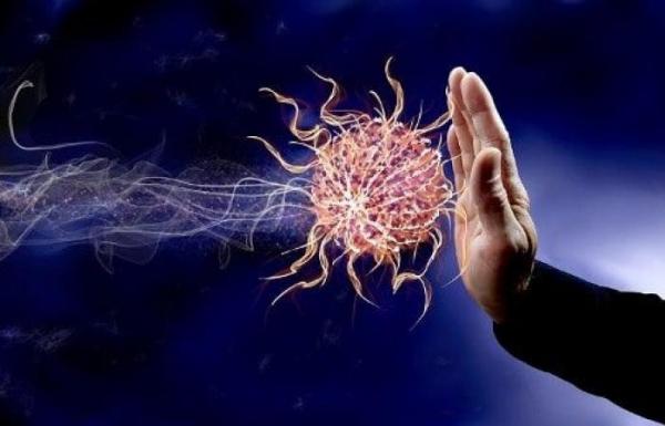 كيف تقوي مناعتك طبيعياً ..8 أعشاب تجعل جسدك قوياً في مواجهة الأمراض