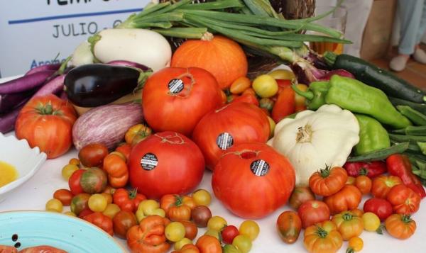 إسبانيا تنتج طماطما تزن الحبة منها كيلو غراما ..وهذا هو سعرها