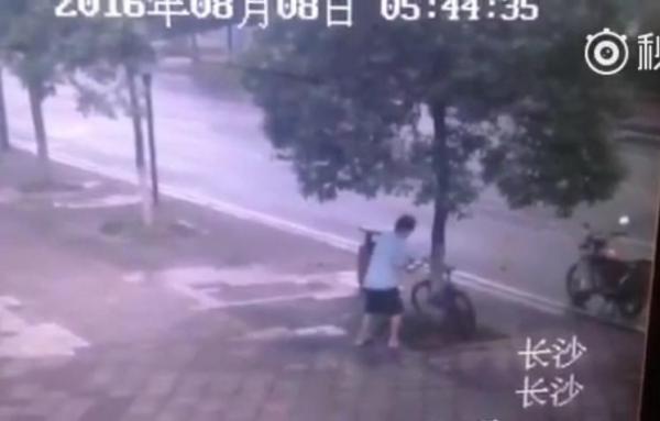 بالفيديو ..يقطع شجرة كاملة ليسرق دراجة