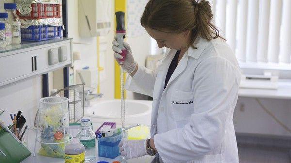 وزارة الصحة تصدر بلاغا حول وضع فيروس زيكا بالمغرب وتقدم توصيات هامة للمواطنين