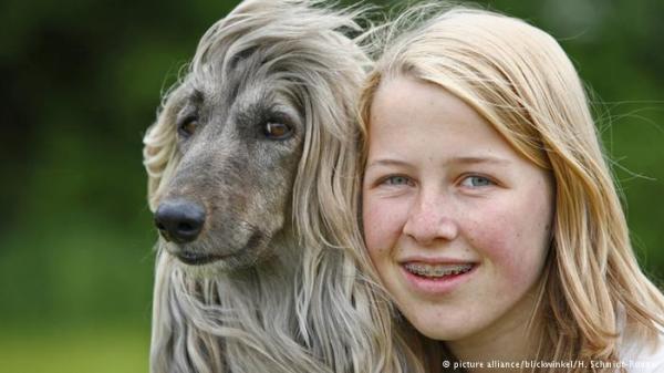 دراسة: الكلب أقدم صديق للإنسان على مر التاريخ