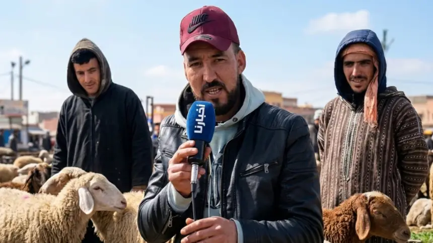 ميدلت.. صرخة كسابة: الشناق خنق السوق وطلع الثمن ديال الحولي والدرويش الله يحسن ليه العوان