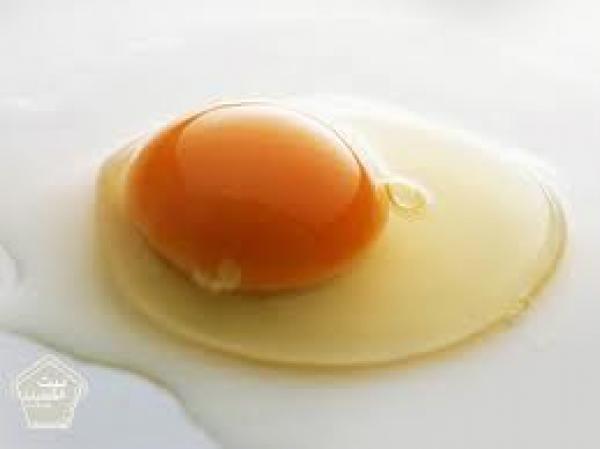 تناول بيضة على الإفطار لانقاص وزنك