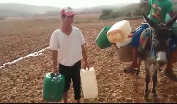 بالفيديو... هكذا يستقبل أطفال أزيلال حكومة العثماني ويكشفون معاناتهم من فوق الدواب مع التنقل للبحث عن قطرة ماء