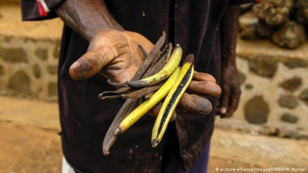 بالصور ..تعرف على أغلى المواد الغذائية في العالم