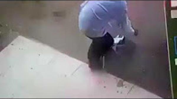 اراد سرقة قطة صغيرة لتربيتها....شاهدوا ماذا حصل له عندما علمت القطة الام بالامر !!!