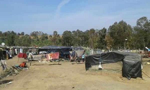 فضيحة : تفريخ أزيد من 400 " براكة " بجانب ضيعة الأمير مولاي اسماعيل بأم عزة