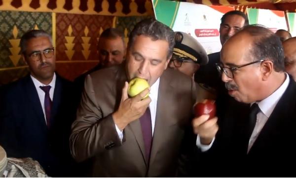 أخنوش من ميدلت : ثمن تفاح طايح خصو يطلع