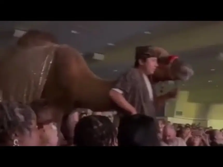 لحظة ركل جمل لامرأة في وجهها وفقدها وعيها خلال احتفال بعيد الميلاد (فيديو)