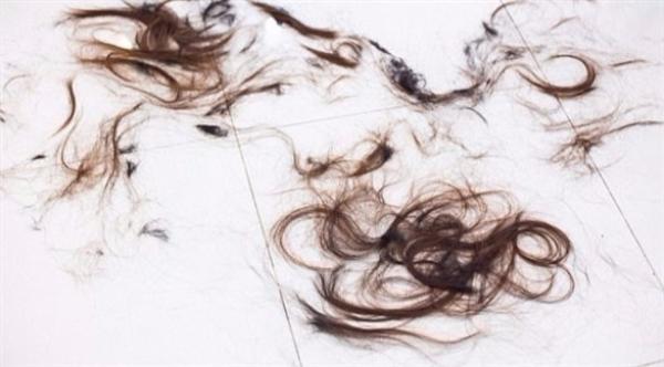 هل ينقذ شعر الإنسان البشرية من الكوارث البيئية؟