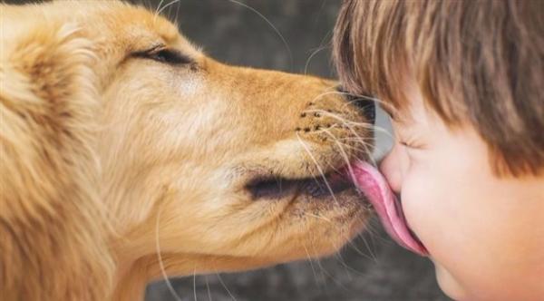 لهذا السبب لا تسمح لكلبك بلعق وجهك