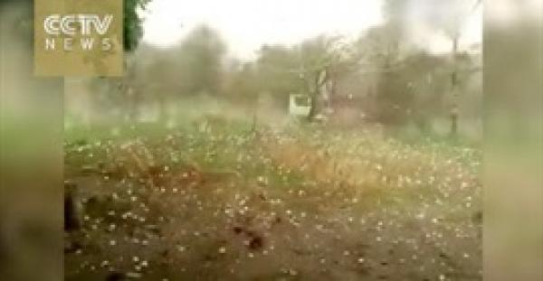 بالفيديو.. ثلوج بحجم البيضة تضرب مدينة صينية