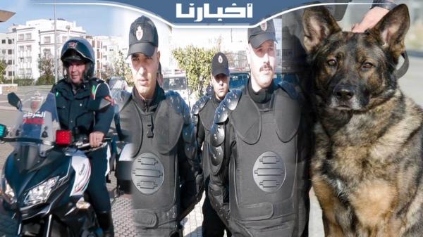 تعزيزات أمنية مكثفة وكلاب مدربة لتأمين احتفالات ليلة رأس السنة بتطوان