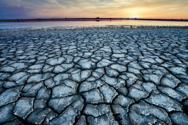 الجفاف يفتك بأوروبا التي تتعرض لأسوأ موجة منذ 500 سنة