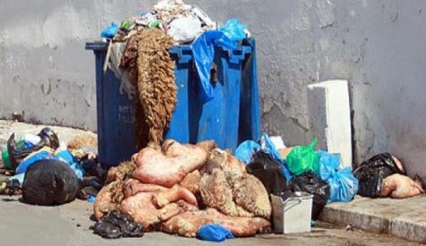 الوافي: إهمال جلود الأضاحي يُضيّع على المغرب 7 ملايير كل سنة