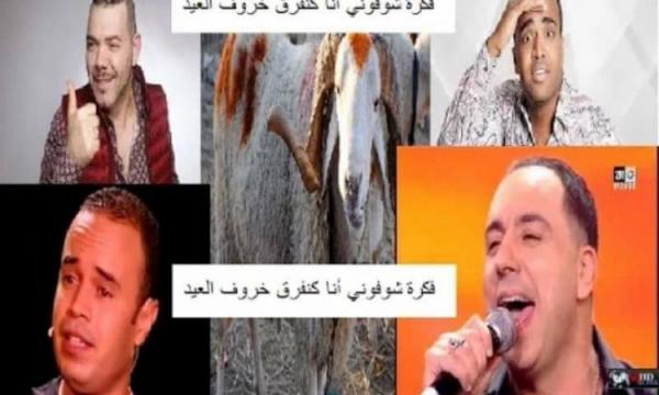 رسالة قوية اللهجة لأصحاب فكرة شوفوني كنفرق خروف العيد
