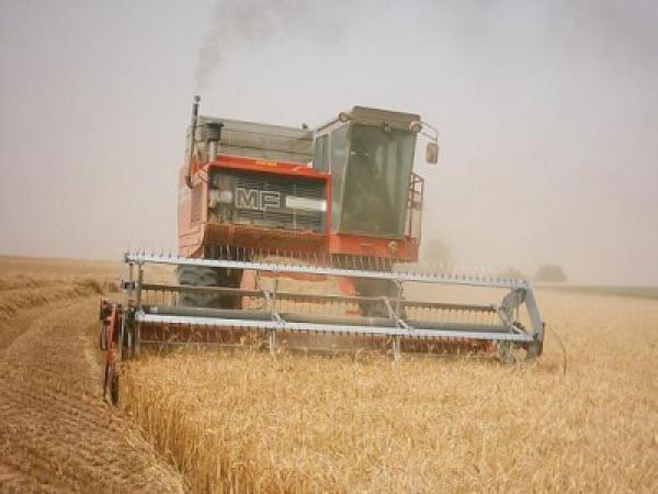 تازة: إنتاج أزيد من مليون قنطار من الحبوب خلال الموسم الفلاحي 2010-2011