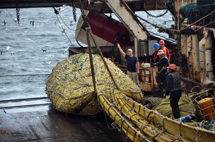 سفينة «نيكولاي تيلينكوف» الروسية تنهي عملية جمع بيانات الصيد في سواحل الصحراء المغربية