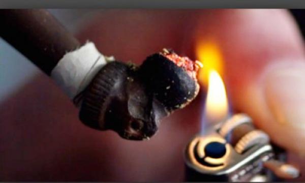 للحماية من كورونا... رئيس جماعة ينصح مستهلكي "القنب الهندي" بعدم تشارك "السبسي" فيما بينهم