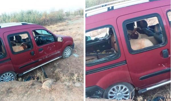 لصوص المواشي يضربون بقوة بهذه المنطقة ويسرقون قطيعا للأغنام لكن نهايتهم كانت غير متوقعة!