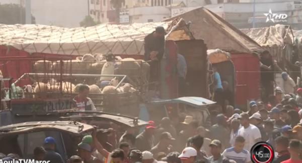 45 دقيقة - فوضى في عيد الأضحى