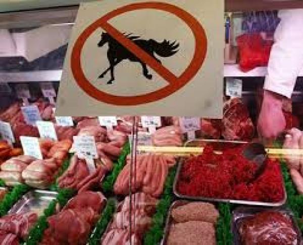 حجز 1.6 طن من لحوم الخيول المزورة تروج بالأسواق المغربية
