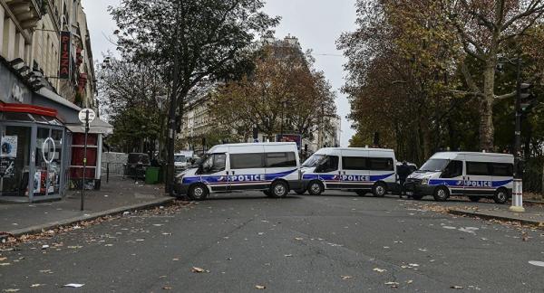 فضيحة تهز فرنسا:الفئران تأكل الجثث المكدسة في مركز للتبرع بالأعضاء