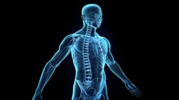 10 أعضاء في جسم الإنسان يستطيع أن يعيش بدونها