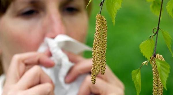 حساسية حبوب اللقاح قد تتحول إلى ربو