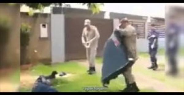 بالفيديو.. كلب يدافع عن صاحبه المصاب