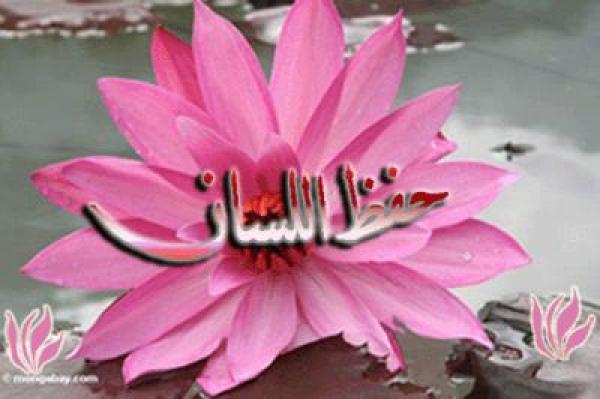 حفظ اللسان نصف الطريق إلى الجنة