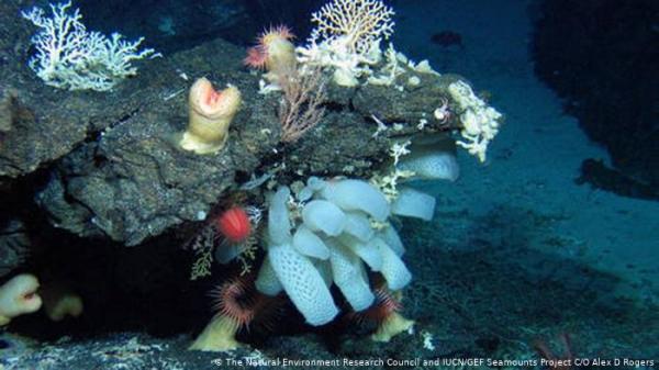 وصل إلى أعمق نقطة في الأرض .. ووجد مفاجأة!